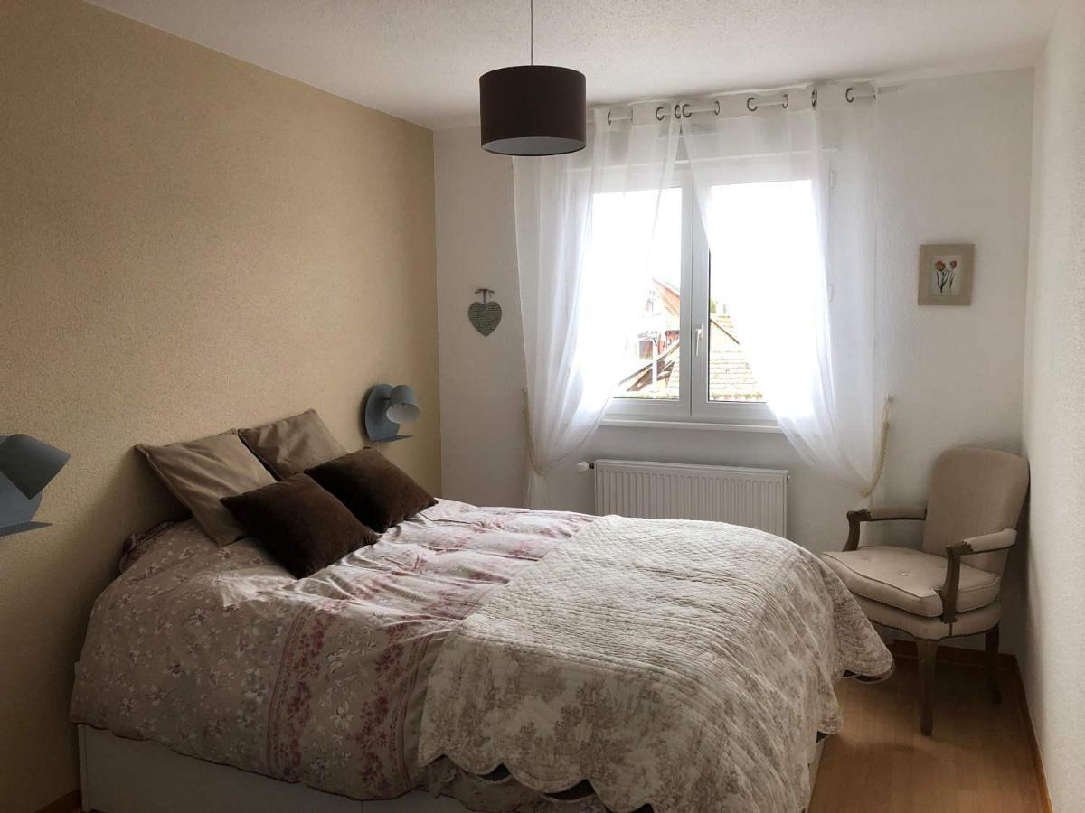 Au Pied Des Vosges Apartment Obernai Bagian luar foto