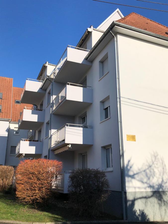 Au Pied Des Vosges Apartment Obernai Bagian luar foto
