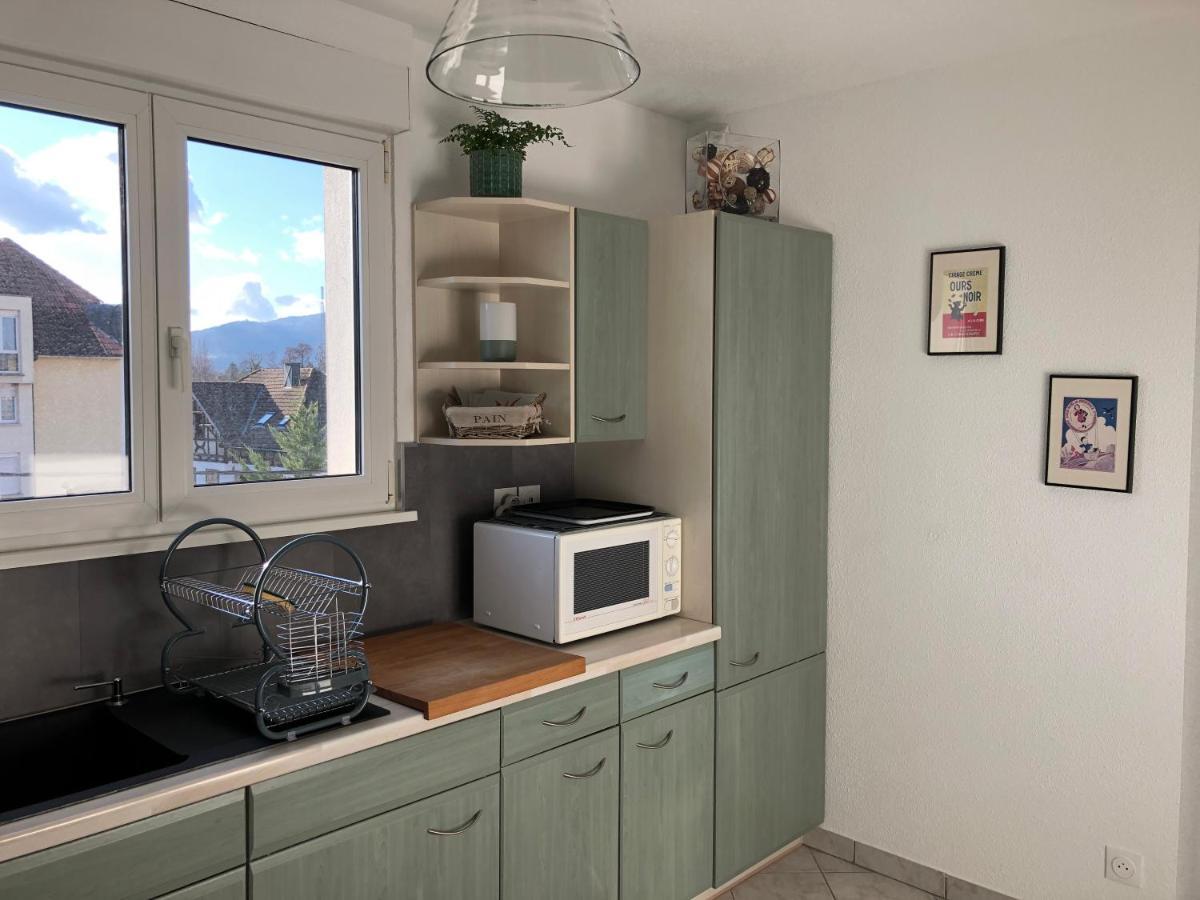 Au Pied Des Vosges Apartment Obernai Bagian luar foto