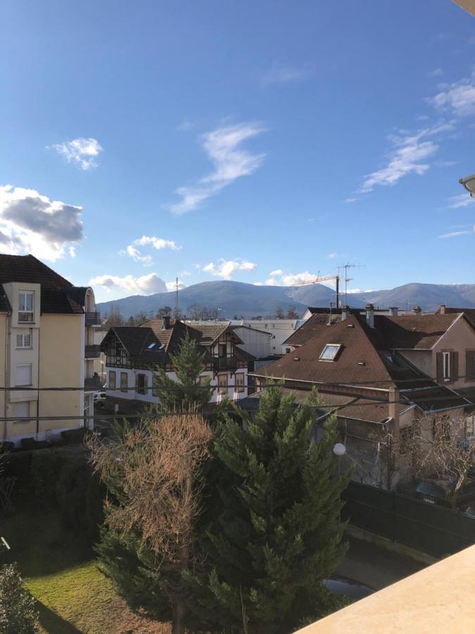 Au Pied Des Vosges Apartment Obernai Bagian luar foto